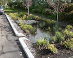 A "green street" project in Portland designed to absorb stormwater and prevent sewer backups and overflows.