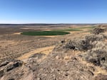 Irrigated fields in the Harney Basin lowlands; view looking west, Oct. 18, 2022.