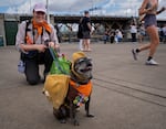 Erika Nordman poses for a portrait with Meatball the pug, dressed as Russel from the movie "Up." 