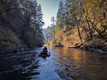 Fisheries biologists with the Washington Department of Fish and Wildlife float the lower section of the White Salmon River each fall to count returning salmon.