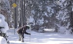 Scientists measure snowpack levels every winter to determine upcoming water supplies. 
