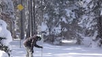 Scientists measure snowpack levels every winter to determine upcoming water supplies. 