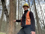Ashland Fire and Rescue Wildfire Division Chief Chris Chambers standing in Siskiyou Mountain Park where crews were cutting down dead Douglas fir trees in an undated photo.