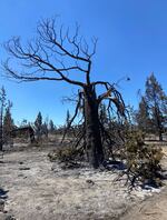 The McCaffery Fire was 25% contained as of Sunday evening, according to Central Oregon Fire Info.