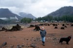 Dean O’Donnell, who’s lived in Detroit for 25 years and used to run the local grocery store, walks his dogs on a dry part of Detroit Lake’s bed, typical of a winter drawdown of the reservoir, in Detroit, Ore., on Dec. 6, 2025.