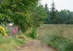 Lynn Gearhart, left, tends to her garden at her home in Charbonneau, a planned development built in the 1970s in Wilsonville, Ore., June 14, 2022. The community was built on active farmland, and farming continues today on the east side of the development, right.