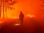 This photo provided by the fire brigade of the Gironde region (SDIS 33) shows firefighters fighting wildfire near Landiras, southwestern France, Sunday July 17, 2022.