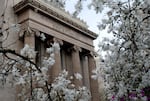 Blossoms bloom in front of the Washington County Courthouse.