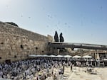Swifts have been nesting in the Western Wall for centuries. Experts count at least 88 nests in the nooks and crannies of this holy site. The birds swoop and dive above the worshipers, catching insects to feed their young or encouraging their nestlings to take flight.