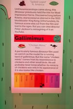 Timelines interspersed throughout Dinolandia help visitors learn when different the different dinosaurs on display lived, sometimes tens of millions of years apart. 