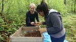 Western Oregon University Criminal Justice Professor Misty Weitzel helps her student Daisy Romero identify bone removed from the forest floor.