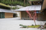 The Cultural Village is home to two new gardens: the tiny Tsubo-Niwa, which means courtyard garden (pictured), and a bonsai terrace.