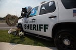 Flowers and messages adorn a Clark County Sheriff's Office SUV outside a memorial service for slain detective Jeremy Brown on Aug. 3, 2021. Brown died July 23 while investigating a trio suspected in a firearms heist, records show.