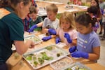 Leeauna Perry, the director of the Sitka Center for Art and Ecology's Youth program, instructs first and second grade students during an arts lesson held at the Nestucca K-8 school in Cloverdale in June 2023. Since 2020, Sitka's youth program has expanded from serving 500 students in two schools to now serving 5,000 students in 17 schools, from Astoria to Waldport on the Oregon coast.