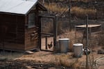 Scorch marks surround a chicken coop, the chickens inside still alive, seen on Aug. 13, 2026 near Friend, Ore.