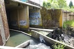 The Kellogg Dam in Milwaukie, Oregon on May 18, 2024. The dam, which has served little functional purpose since the 1890s, is scheduled for removal as early as 2026.