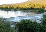 The Oregon Department of Fish and Wildlife said the number of wild summer steelhead passing Winchester Dam is less than half of what's needed to meet "critical abundance" for the year.