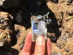 Temperature sensors near the surface did not fare well during the Eagle Creek Fire