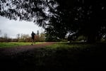A man runs on Pre's Trail through Alton Baker Park in Eugene, Ore., Saturday, Jan. 19, 2019.