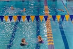 Adults swim at Mt. Scott Community Center on Jan. 18, 2022. Swimming lessons at the pool are paused due to staffing shortages, though the water fitness for adults is still open.