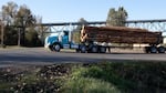 A truck carries logs across the Columbia River to the Port of Longview, where they are loaded onto ships. 