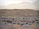 This image of the parachute that helped deliver NASA's Perseverance Mars rover to the Martian surface was taken by the rover's Mastcam-Z instrument in April.