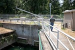 Jason Pulley checks out the beginning of the water treatment process at the Salem Public Works’ water filtration facility in Stayton, Ore., July 31, 2025. 