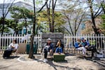 People sit near the cherry blossoms in full bloom along a street in Seoul on April 3, 2023.