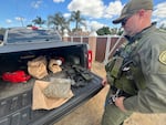 Riverside County Sheriff Department Sergeant Jeremy Parsons collects cannabis clippings and firearms from an unlicensed greenhouse in Perris, CA.