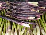 Northwest asparagus farmers have taken some hits in recent years. But the growing and price winds are in their favor this season.