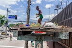 Jessica Tapre repairs a green roof in a bus stop in Benfica, Rio de Janeiro, Brazil.