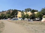 Deer Creek Park in Roseburg in July 2025, where many homeless people are camping illegally.