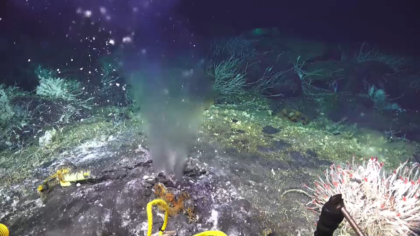 Northwest scientists unlock new insights into deep-sea thermal