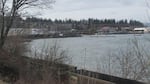 Coal trains pass through Bellingham several times a day on their way to Canada. If the Gateway Pacific Terminal is approved up to 9 trains per day (18 trips) could travel the I-5 corridor through Bellingham.