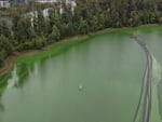 In this acquired image, a kayaker floats through a large cyanobacteria bloom at Ross Island Lagoon on the Willamette River in Portland, Ore., Aug. 21, 2026.
