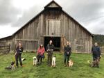 Out of 27 original competitors, these five won their way into the finalist round (from L to R): Becca Book and Wilga, of Seattle; Rachel Su and Bunny, of Seattle; Courtney Vandyk and Pixel, of Seattle; Ashley Rau and Raji, of Grants Pass, Oregon; and Nora Reid and Stevie, of Granite Falls, Washington. The truffle hunt happened in a patch of woods just off of the Lorane Highway south of Eugene, Oregon.