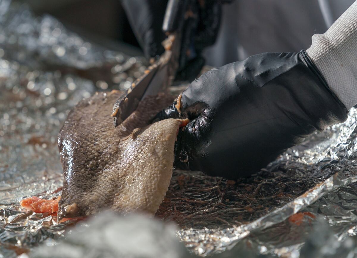 File:FMIB 34869 Dip-Netting Salmon, Abercrombie Canyon, Copper River.jpeg -  Wikimedia Commons