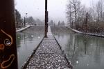 Snow began to fall along Willamette Park in Southwest Portland, Tuesday, Feb. 20, 2018.