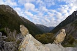 Two Kea birds, Arthurs Pass South Island New Zealand. The species is listed as threatened in that country and climate change is among the reasons their numbers are in danger.