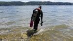 Portland diver Callie Renfro's May 2016 sighting of a sixgill shark in Washington's Hood Canal was one of several such incidents, fueling speculation that the giant shark may be repopulating Puget Sound.