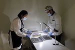 Lab Assistant Julia Butac and Programme Manager Julien Simonis perform the demolding process at the Cacao of Excellence laboratory in Perugia. After the chocolate has cooled and contracted, the bars are carefully removed from their molds, a final step that confirms the success of the tempering process through the chocolate's characteristic snap and glossy finish