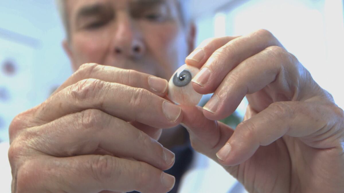 Fred Harwin hand paints highly detailed prosthetic eyes