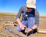 Oregon State University soil scientist Markus Kleber collects soil samples from a crop field near Boardman in March. His lab can measure the amount of carbon in the soil and calculate how much more it can hold.