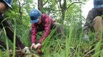 Sally Jewell pulls out invasive grass with members of the Northwest Youth Corps at Oaks Bottom Wildlife Refuge.