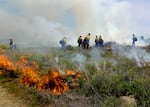 Volunteer firefighters run a prescribed burn at the Wanaket Wildlife Area outside Hermiston, Ore., on May 15, 2024, as part of a training with the Nature Conservancy and the Confederated Tribes of the Umatilla Indian Reservation.