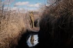 A Ukrainian serviceman pauses while walking to a frontline position outside Popasna, in the Luhansk region, eastern Ukraine, Sunday, Feb. 20, 2022. Russia extended military drills near Ukraine's northern borders Sunday amid increased fears that two days of sustained shelling along the contact line between soldiers and Russia-backed separatists in eastern Ukraine could spark an invasion. Ukraine's president appealed for a cease-fire.