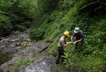 John Wiley (left) and Cody Gilbertson work together to find Chittenango ovate amber snails hidden amongst leaves in their terrarium before releasing them into the wild.