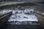 Water spills over a set of stairs that typically lead to the beach during a King Tide at Alki Beach Park on Tuesday, December 5, 2017, in West Seattle.