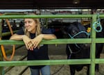 Texie Van Tassell, of North Powder, Ore., leans on a stall fence on Aug. 5, 2026, at the Baker County Fairgrounds and reflects on how smoky air has affected her and her steer, Bob Fudge.