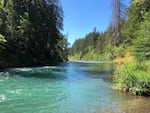 A turquoise river with trees on the banks.